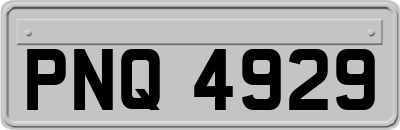 PNQ4929