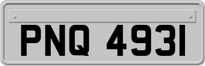 PNQ4931