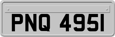 PNQ4951
