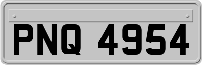 PNQ4954