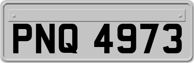 PNQ4973