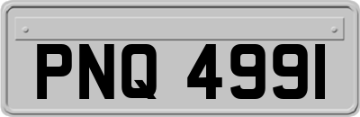 PNQ4991