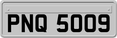 PNQ5009