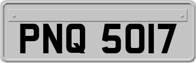 PNQ5017
