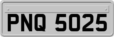 PNQ5025