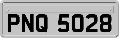 PNQ5028