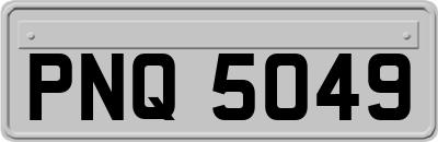 PNQ5049