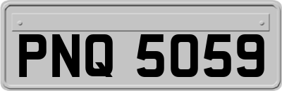 PNQ5059