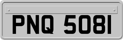 PNQ5081