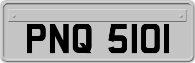 PNQ5101