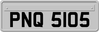 PNQ5105
