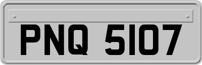 PNQ5107