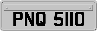 PNQ5110