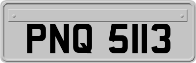 PNQ5113