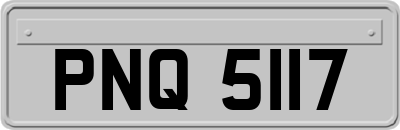 PNQ5117