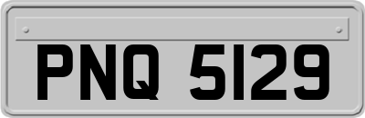PNQ5129