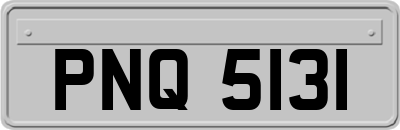 PNQ5131