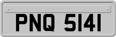 PNQ5141