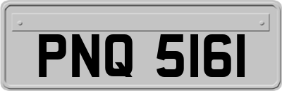 PNQ5161