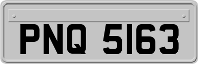PNQ5163
