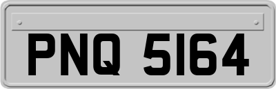 PNQ5164