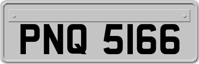 PNQ5166