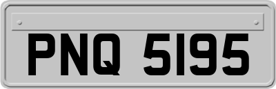PNQ5195