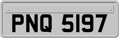 PNQ5197