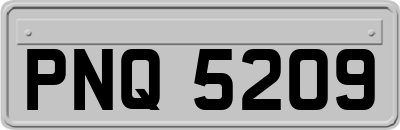 PNQ5209