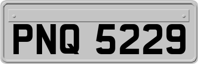 PNQ5229