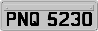 PNQ5230