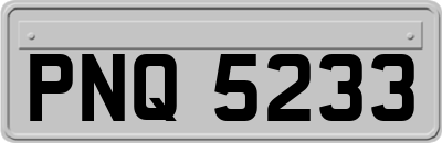 PNQ5233
