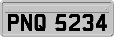 PNQ5234