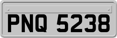 PNQ5238