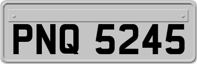 PNQ5245