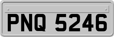 PNQ5246