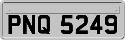 PNQ5249