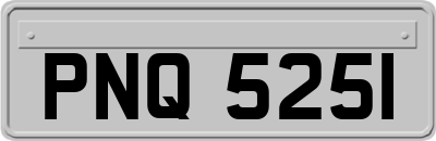 PNQ5251