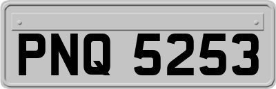 PNQ5253