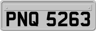 PNQ5263