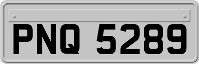 PNQ5289