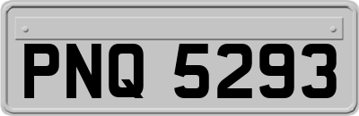 PNQ5293