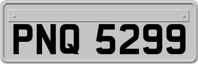 PNQ5299