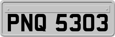 PNQ5303