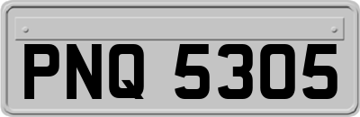 PNQ5305