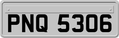 PNQ5306