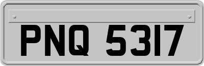 PNQ5317