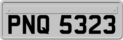 PNQ5323