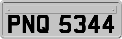 PNQ5344