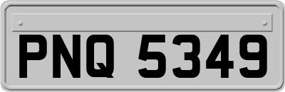 PNQ5349